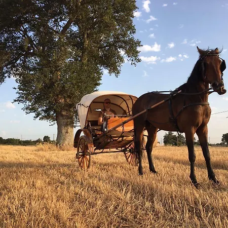 Tenuta 801 Panzió Putignano