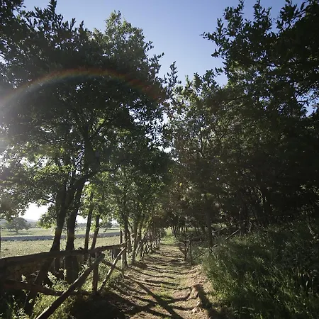 Tenuta 801 Bed & Breakfast 4*